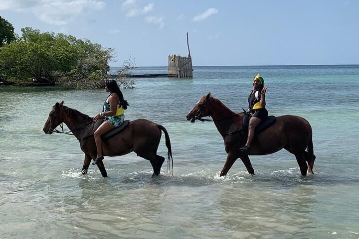 2024 (Montego Bay) Montego Bay River Rafting & Horseback Ride 'n' Swim ...