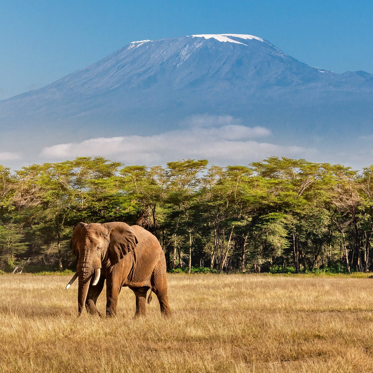 Fair Voyage (Arusha) - All You Need to Know BEFORE You Go