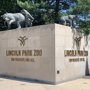 Lincoln Park Zoo - All You Need to Know BEFORE You Go (with Photos)