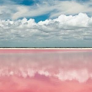 The Pink Ocean Of Los Coloradas Is A Bucket List Must! - Indie88