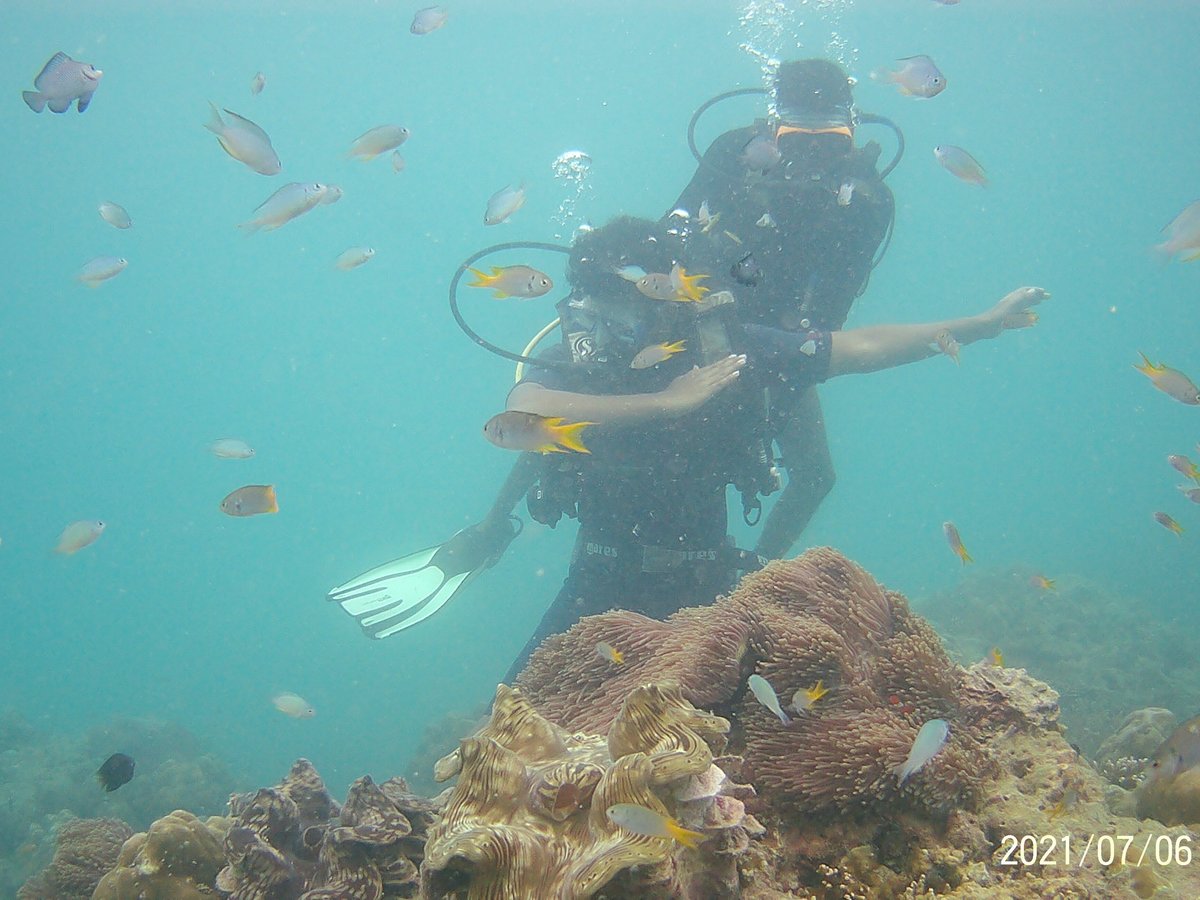 Island Divers Ilha De Havelock Atualizado 2023 O Que Saber Antes De Ir Sobre O Que As 8434