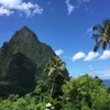 traveltaz24