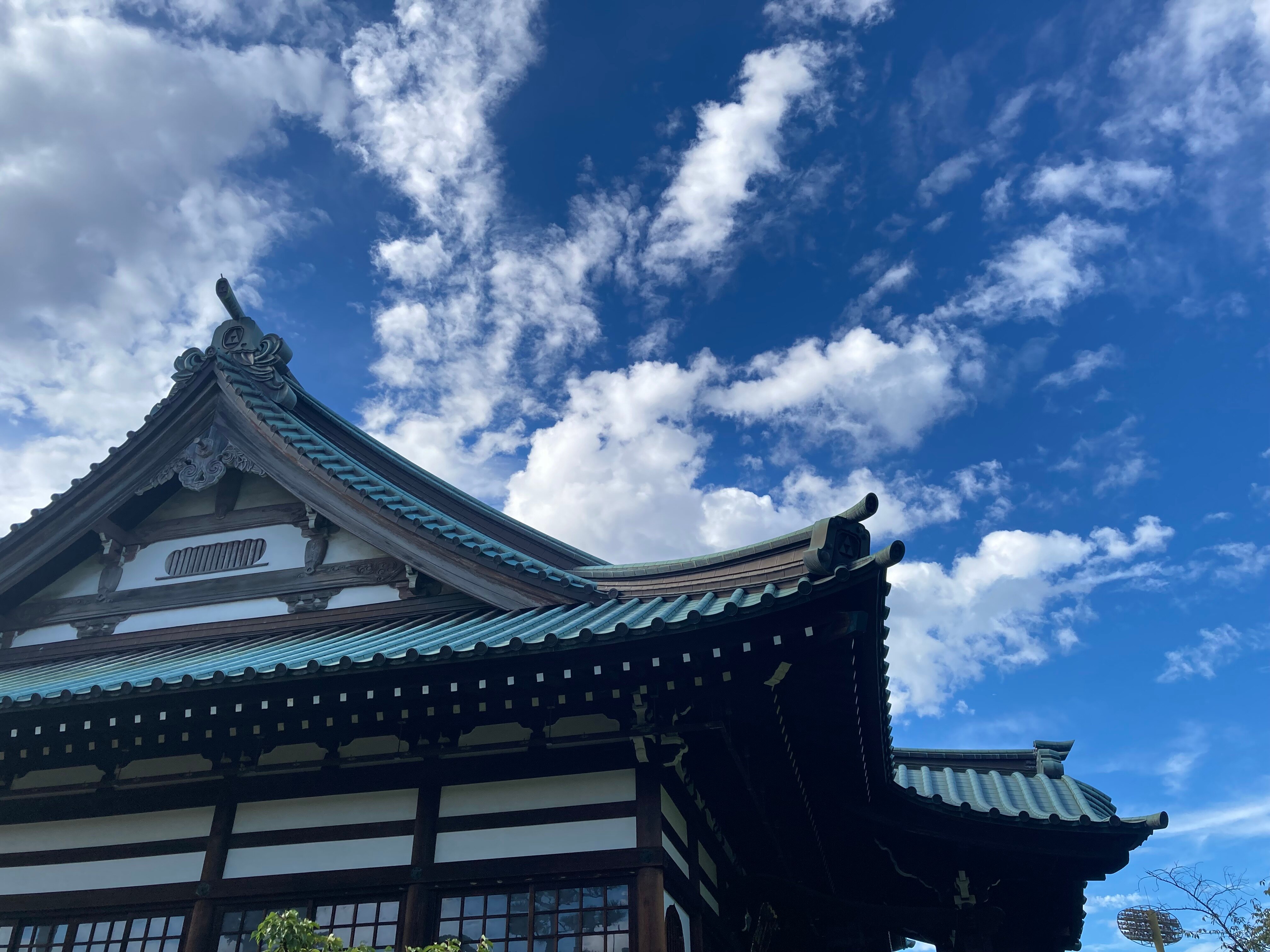 西明寺 口コミ・写真・地図・情報 - トリップアドバイザー