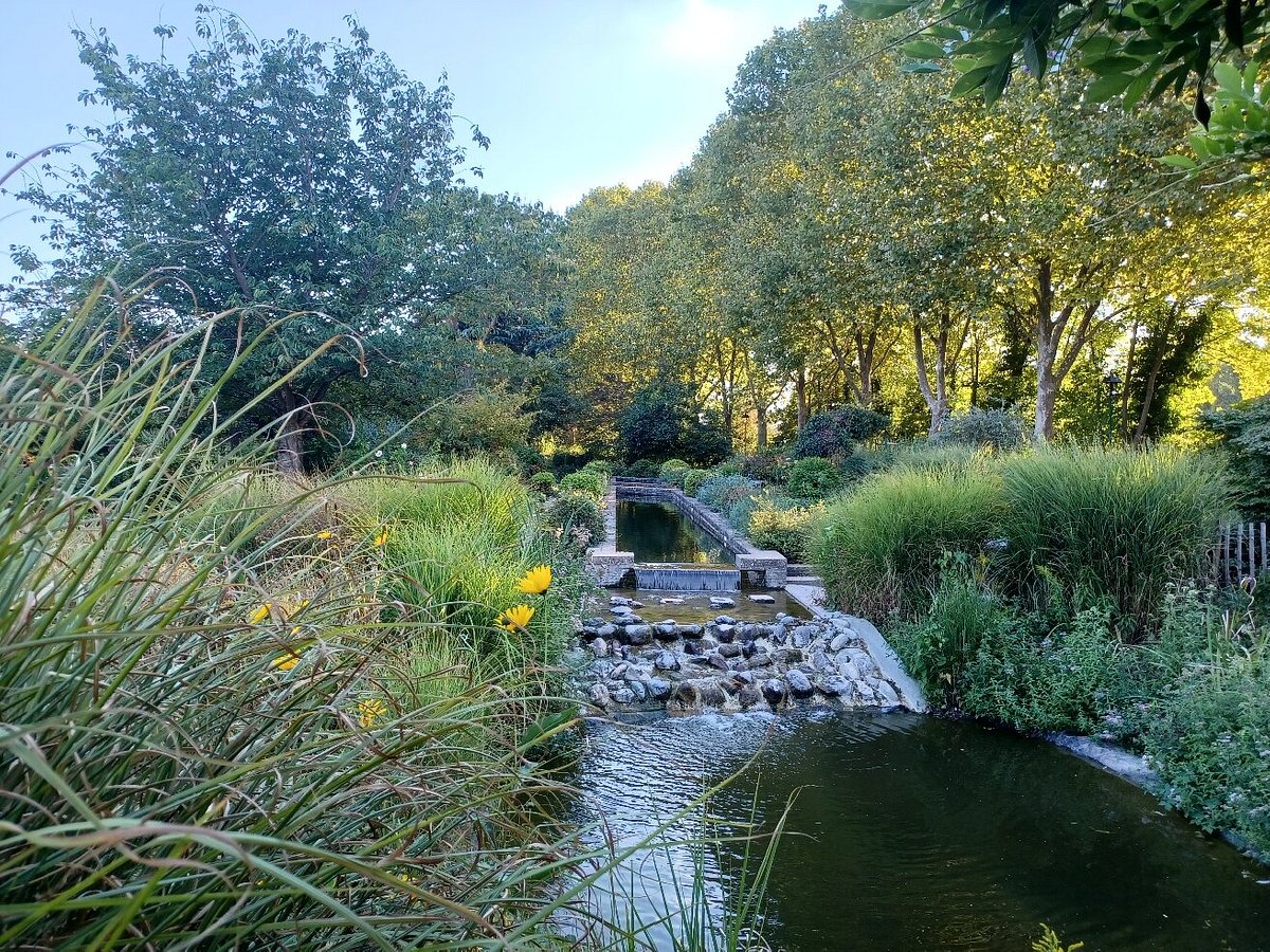 Parc des Impressionnistes : toile d'araignée prenant le soleil