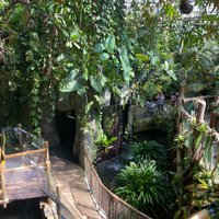 PLANTASIA TROPICAL ZOO (Swansea) - All You Need to Know BEFORE You Go