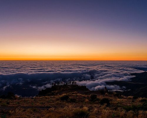 guided walking tours madeira