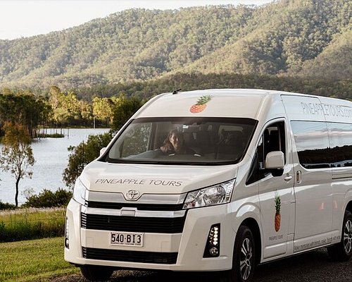 tamborine mountain day tour from brisbane