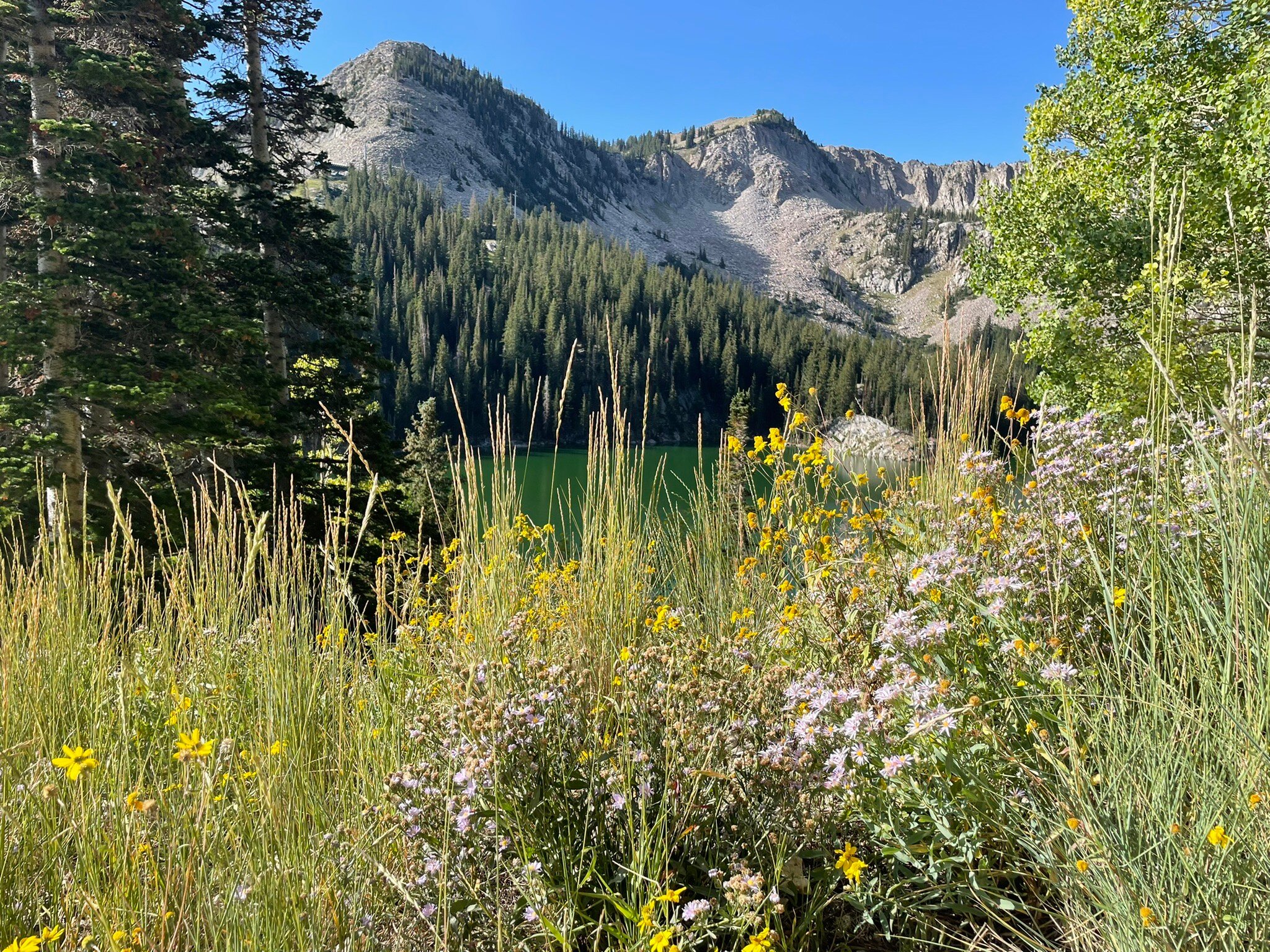 Big Cottonwood Canyon (Salt Lake City) - All You Need To Know BEFORE You Go