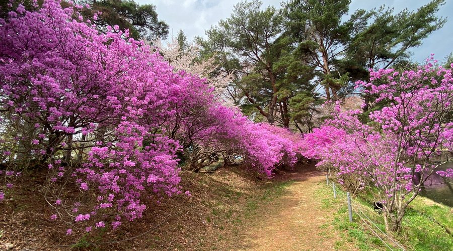 You can walk through the tunnel but it is a dirt-packed path so no high heeled shoes please.