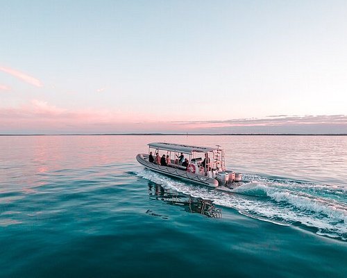 fraser island tour book