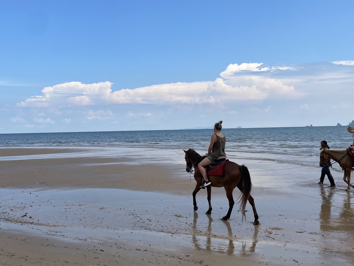 KRABI NATURE HORSE RIDING (Ao Nang) - All You Need to Know BEFORE You Go