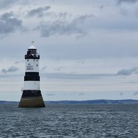 STARIDA PUFFIN ISLAND CRUISES & SEA FISHING TRIPS (Beaumaris) - All You ...