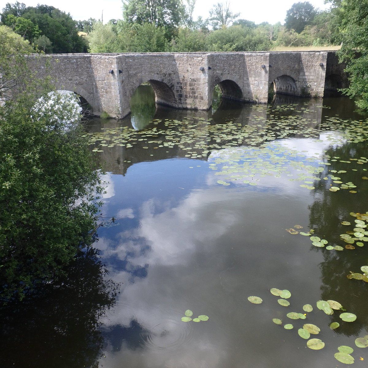 Vieux Pont Ou Pont Roman De Gourgé (Gourge): All You Need to Know