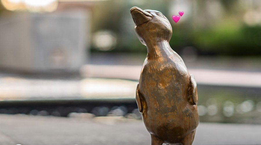 Patitos Andares
Además de ser el más comelón de los patitos, Antonio es muy curioso y está siempre atento esperando a que lo saludes.
Conoce a todos los patitos aquí: https://bit.ly/2TZFaTB
#ArteParaTuCiudad #PatitosAndares #AmoAndares
