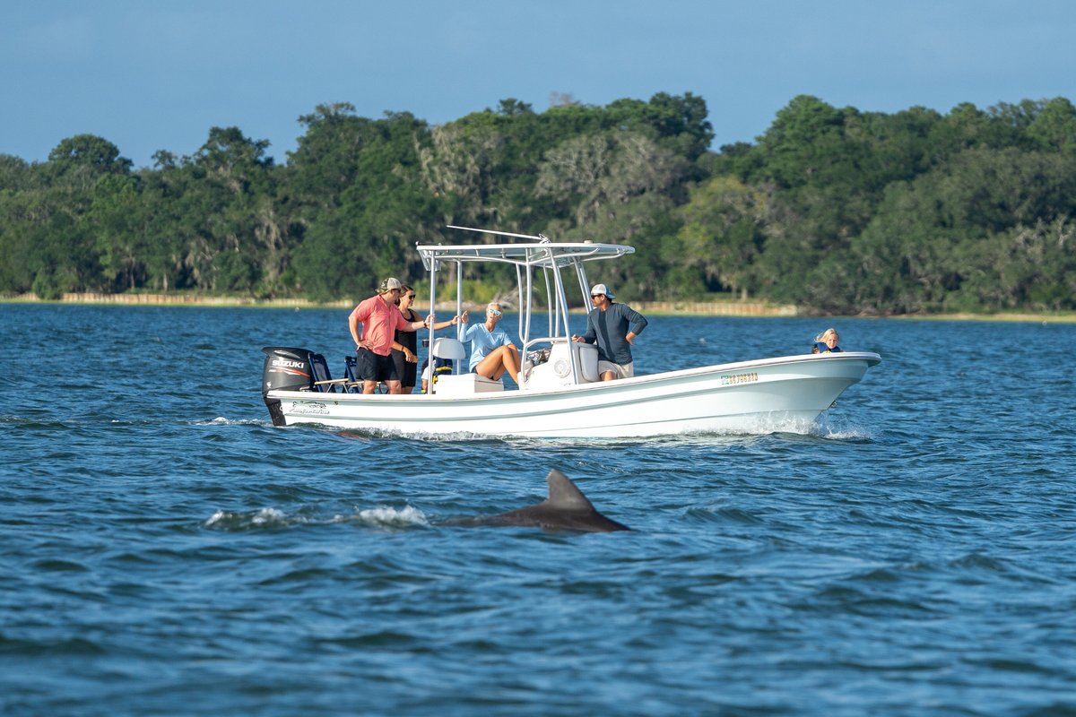 Beaufort Dolphin Adventures - All You Need to Know BEFORE You Go (2024)