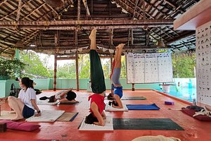 SHIVA RISHI YOGA INN (Varkala Town, Kerala) - Lodge Reviews & Photos -  Tripadvisor