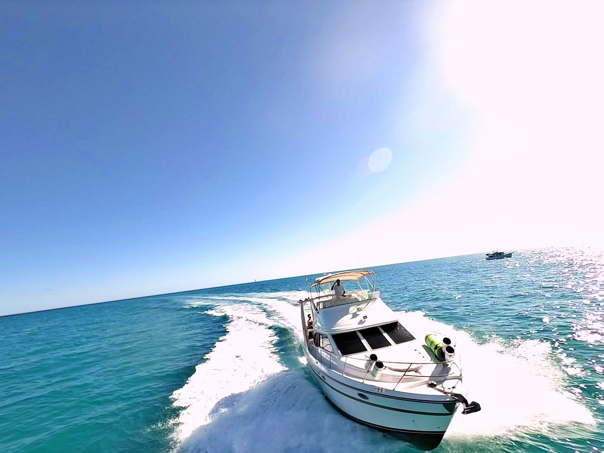 Miami Scuba Diver  Dive, Scuba, Snuba, Snorkel & Cruise on Atlantis Yacht  in Miami Beach.