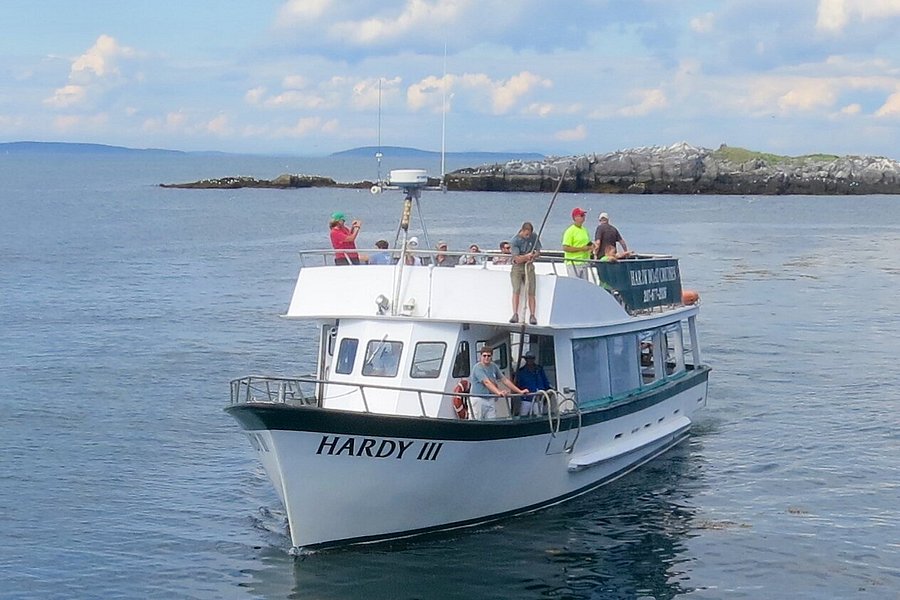 hardy boat cruises tours