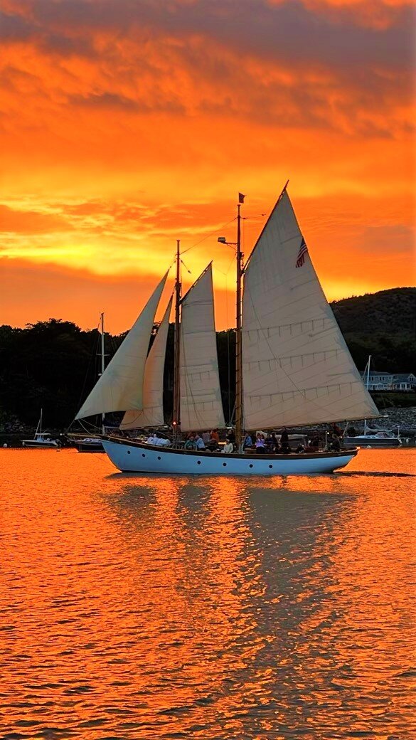 Schooner Olad & Cutter Owl (2025) - All You Need to Know