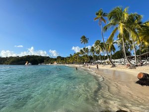 CLUB MED LA CARAVELLE - GUADELOUPE - Updated 2023 Prices & Resort  (All-Inclusive) Reviews (Sainte-Anne)