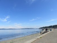 is alki beach dog friendly