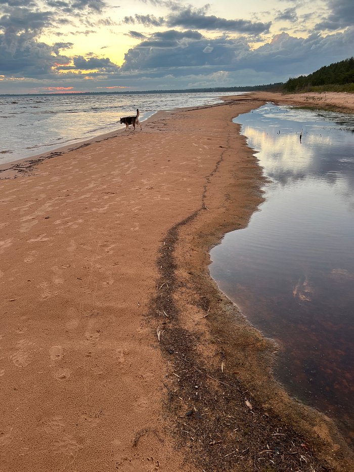 Where does the sand on the beach come from? - MSU Extension