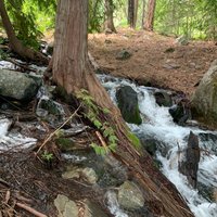 Hidden Lake Trailhead - All You Need to Know BEFORE You Go (2024)