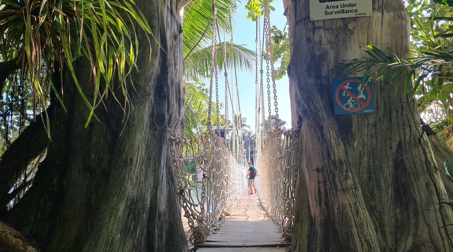 นี่คือจุดเด่นและสถานที่ห้ามพลาดมาร่วมถ่ายภาพเป็นที่ระลึก ตรงนี้จะเป็น สะพานแขวน ที่ได้ถูกออกแบบให้เหมือนภาพยนตร์ชื่อดังเรื่อง Pirates of the Caribbean บริเวณราวสะพานจะถูกทักสานด้วยเชือกขนาดใหญ่ ซึ่งสะพานแขวนนี้จะเชื่อมไปยังเกาะเล็ก ๆ ด้านหน้า คุณสามารถเดินข้ามสะพานแขวนนี้ไปได้ หรือว่ายน้ำข้ามไปยังเกาะได้ก็ได้เพราะอยู่ไม่ห่างกันมากนัก ที่ตั้งจะอยู่ที่บริเวณชายหาดปาลาวัน ครับ