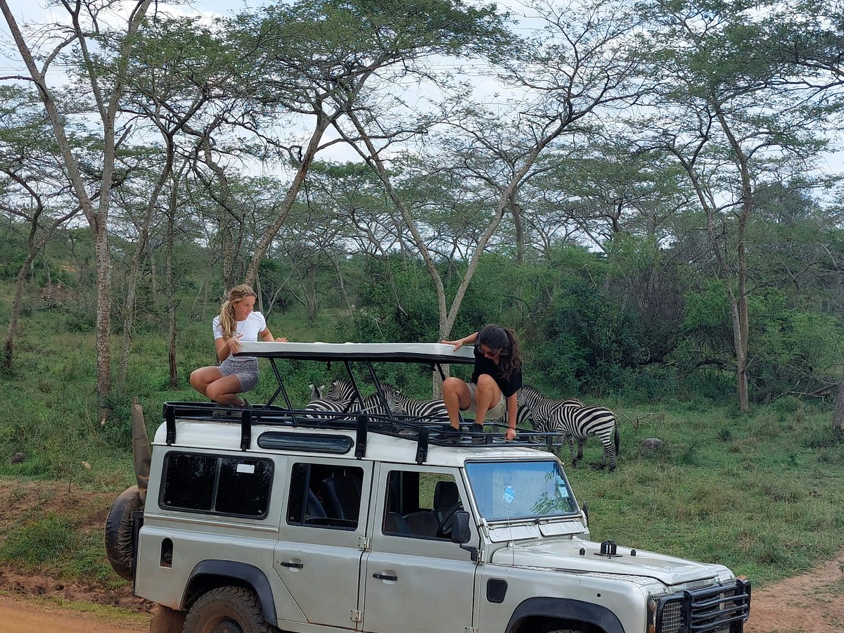 ebs tours and safaris