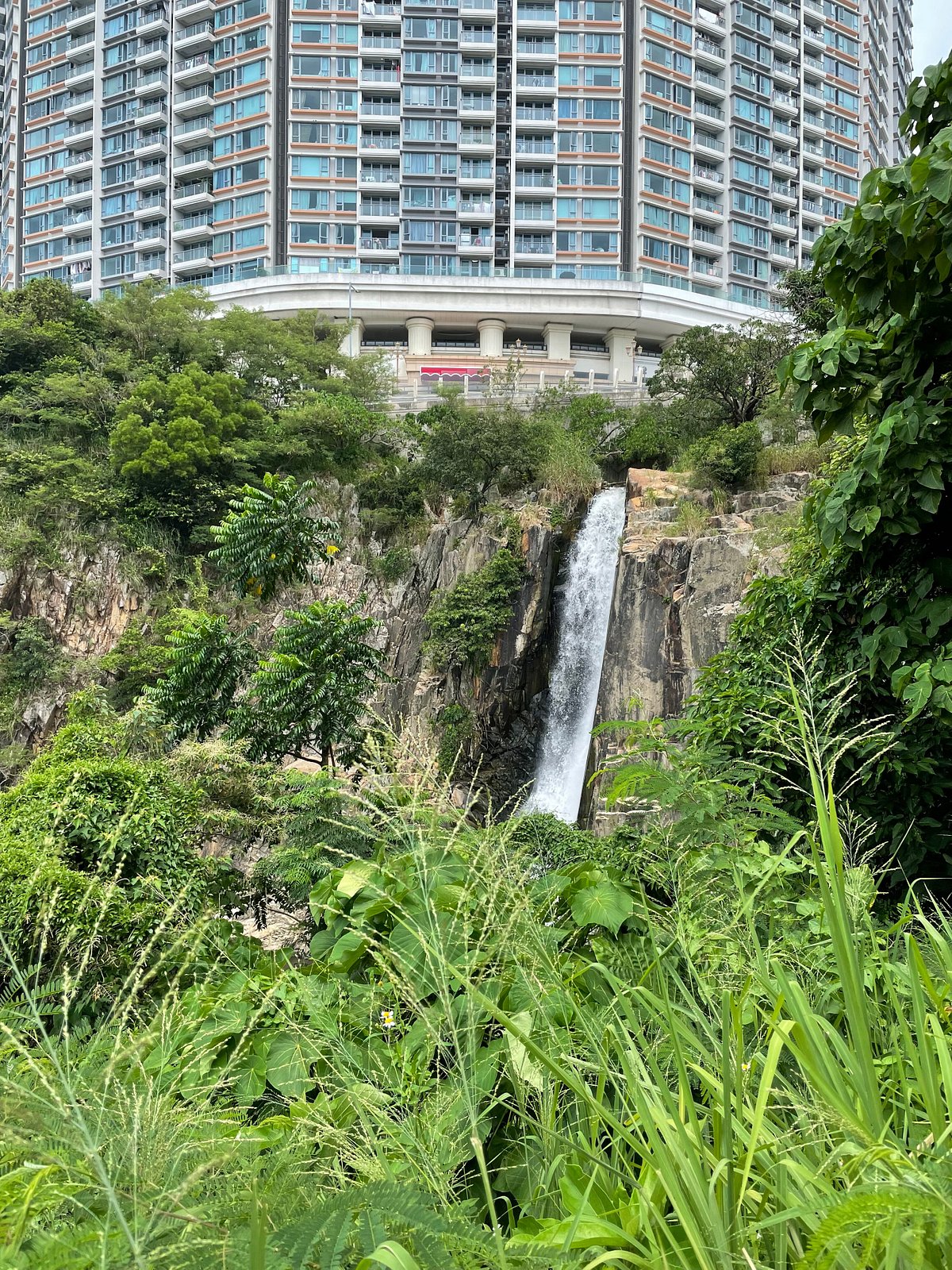 Waterfall Bay, Гонконг: лучшие советы перед посещением - Tripadvisor