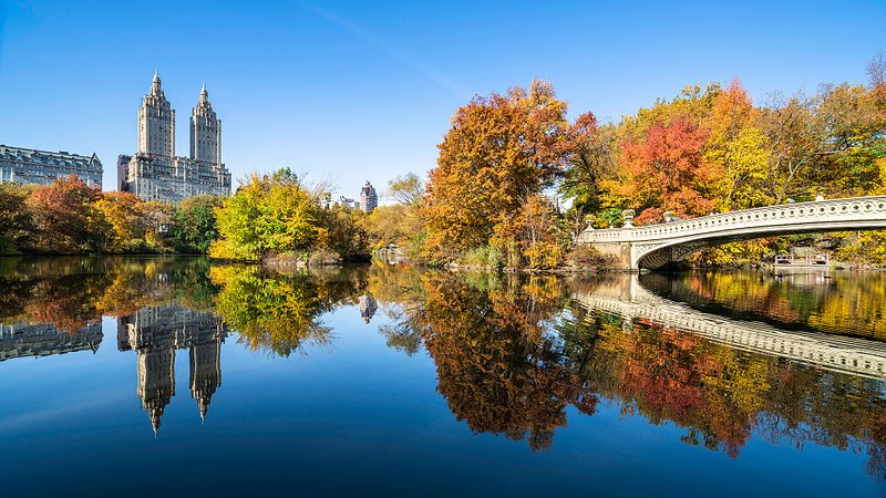 Fall Foliage and Bow Bridge in New York's Central Park 