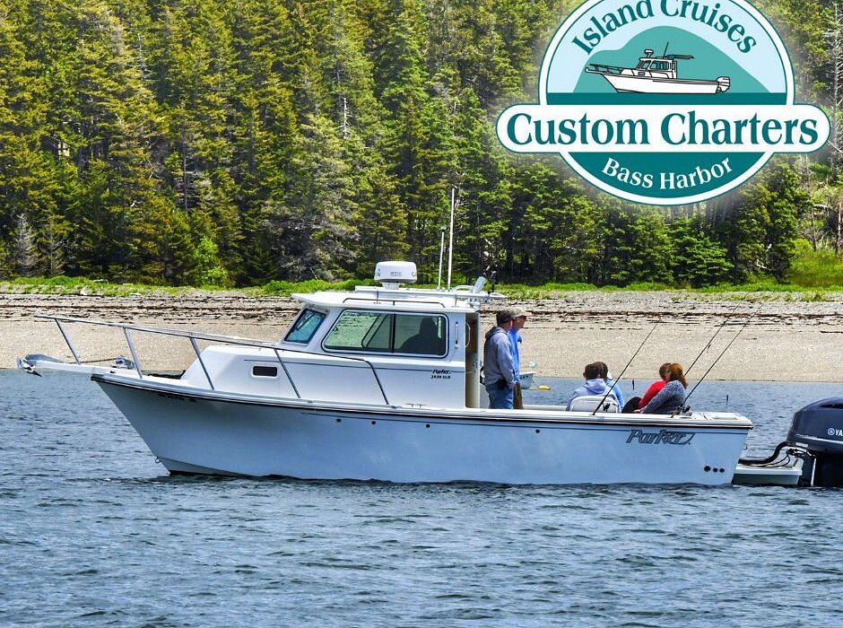 bass harbor boat tour