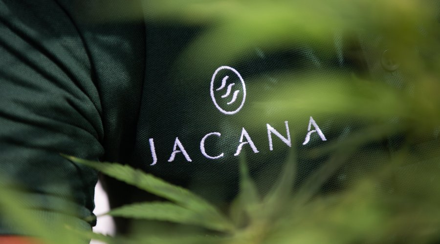 JACANA!
