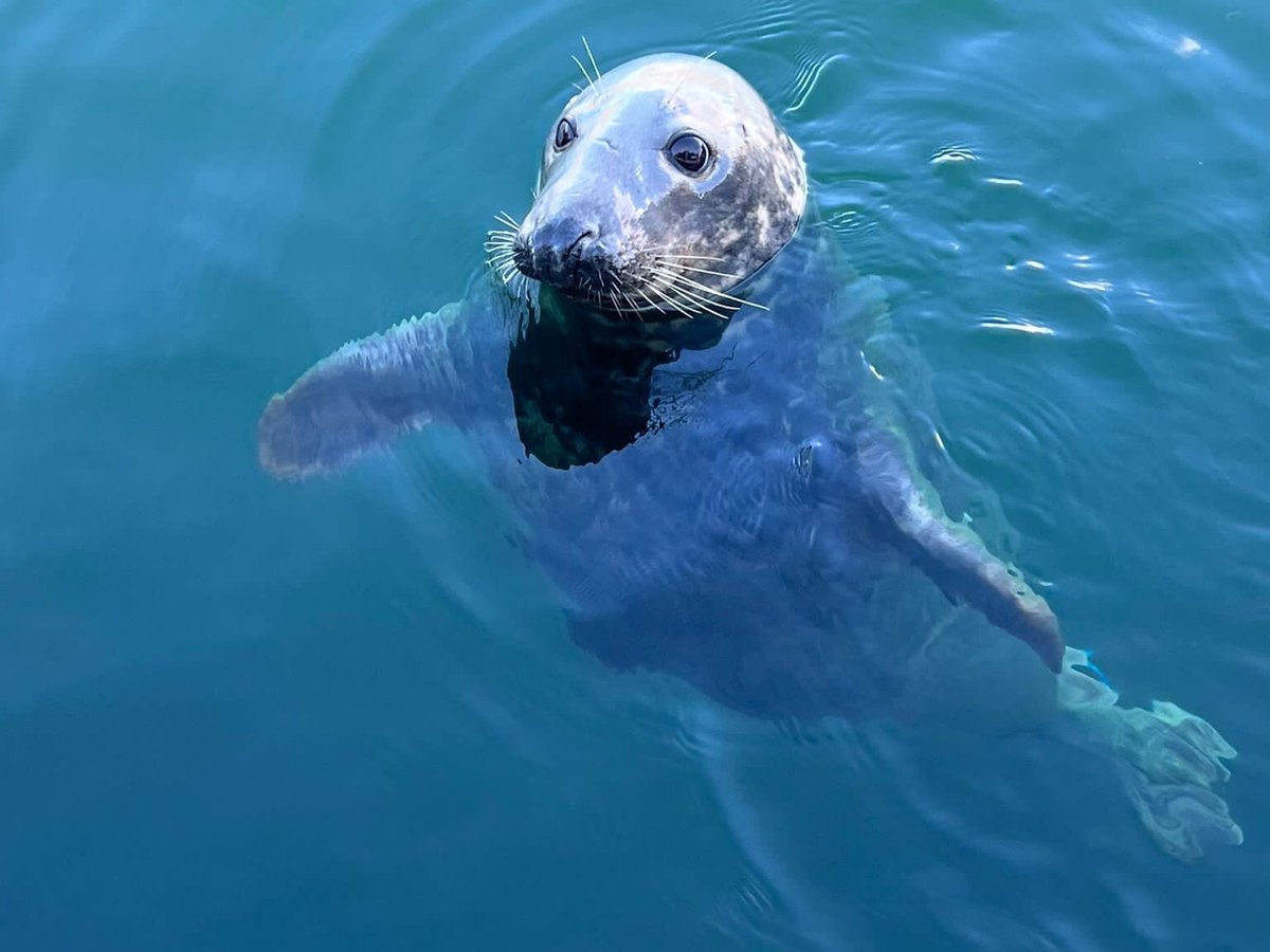 SkyeXplorer Boat Trips (Uig) - All You Need to Know BEFORE You Go