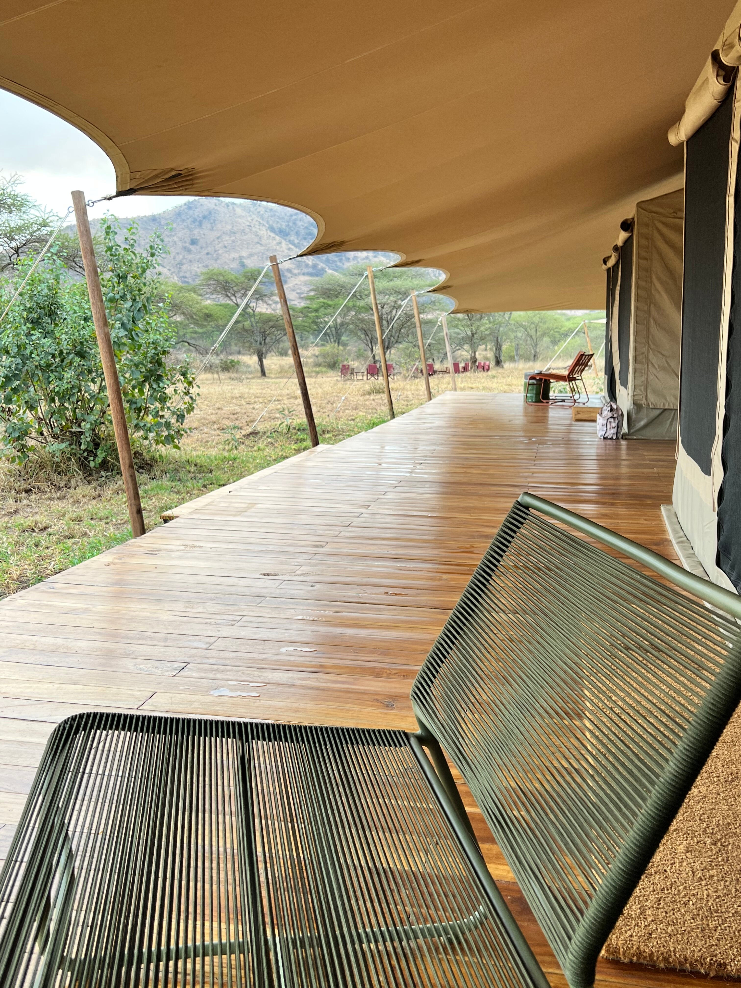 SERENGETI ACACIA BLISS LUXURY TENTED CAMP - Updated 2023 Lodge Reviews ...