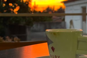 Bebidas