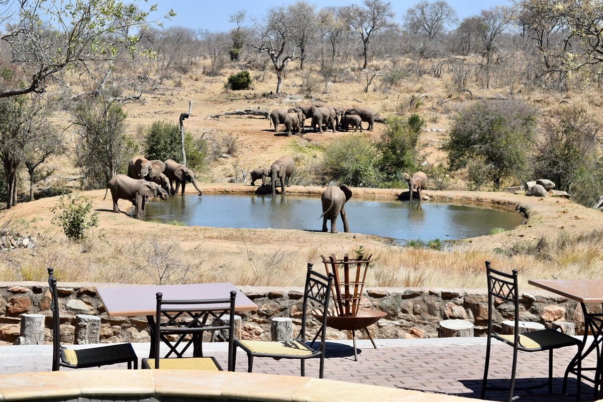 milima big 5 safari lodge