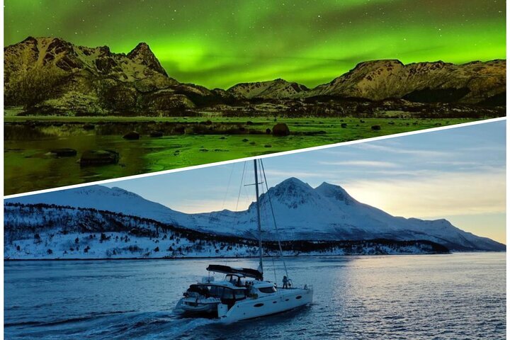 2023 Northern Light Cruise With Luxury Catamaran In Tromso, Norway