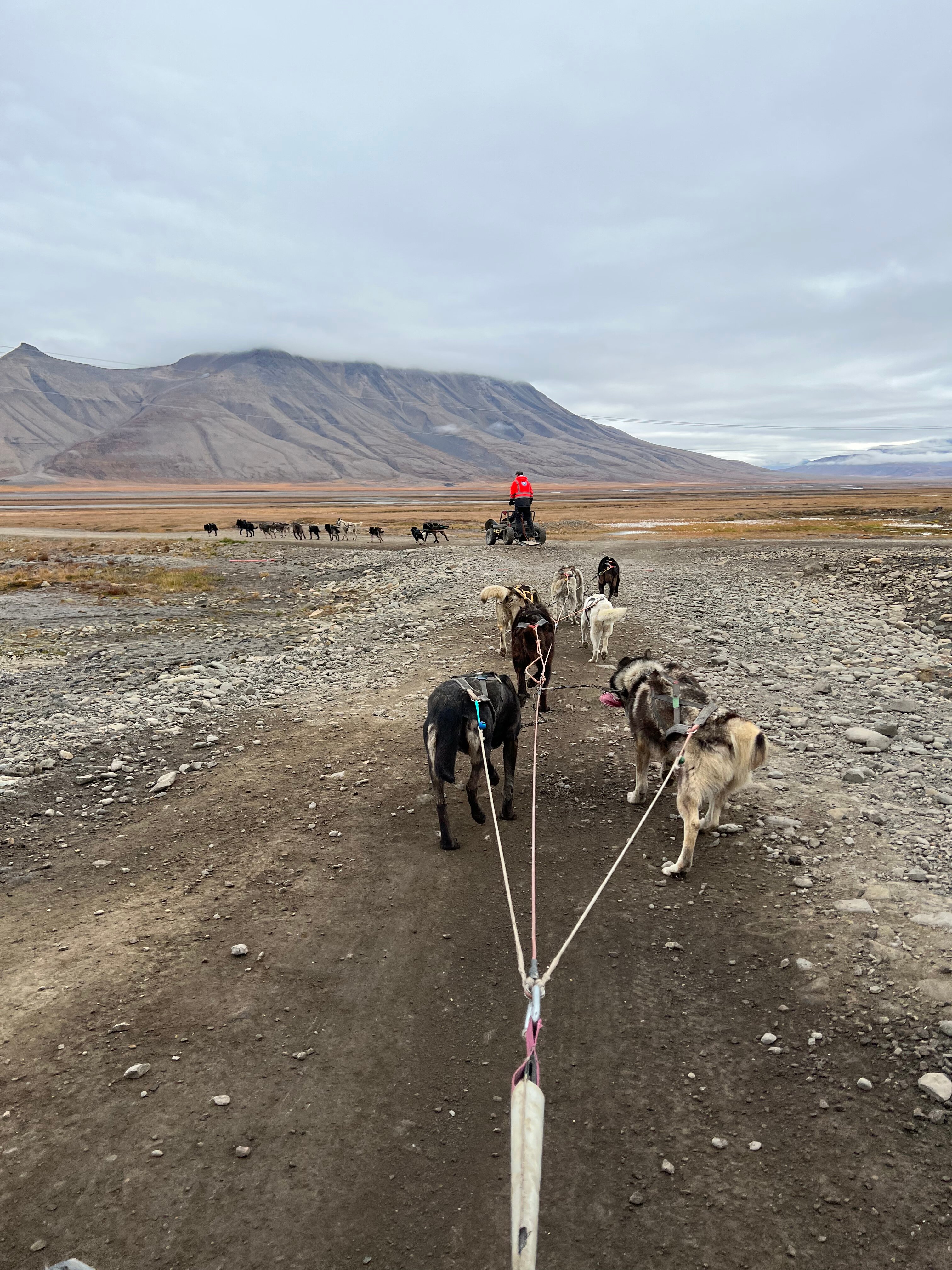 2024 Longyearbyen Longyearbyen In A Nutshell   Longyearbyen In A Nutshell 