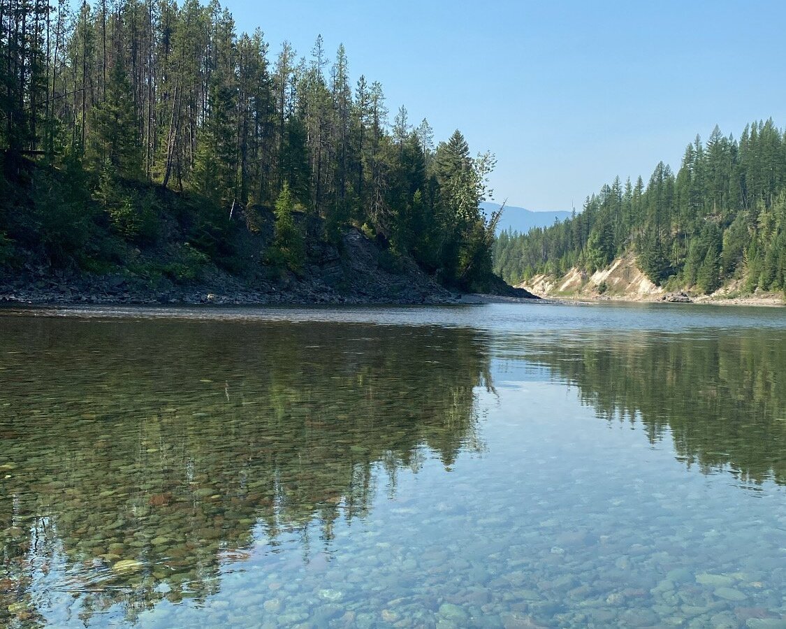 Wild River Adventures - Day Tours (West Glacier) - All You Need to Know ...