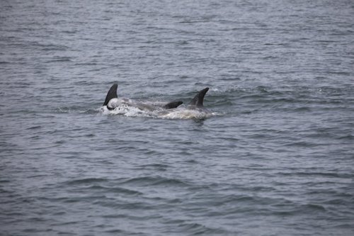 Moss Landing review images