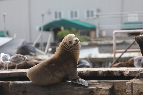 Moss Landing review images