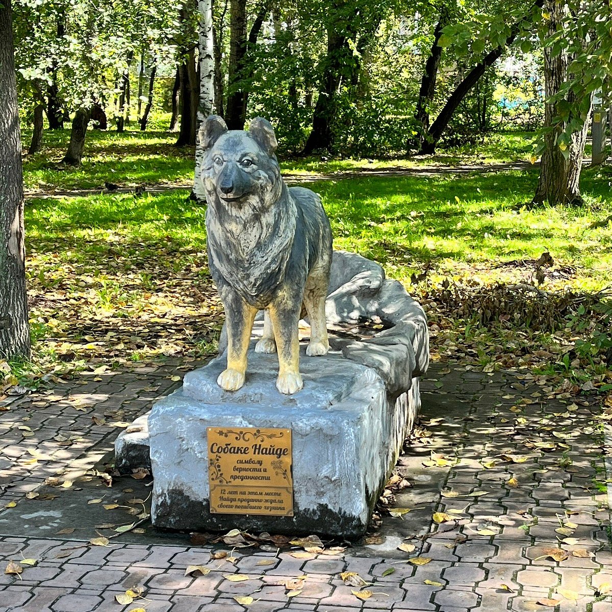 Памятник собаке Найде, Комсомольск-на-Амуре: лучшие советы перед посещением  - Tripadvisor