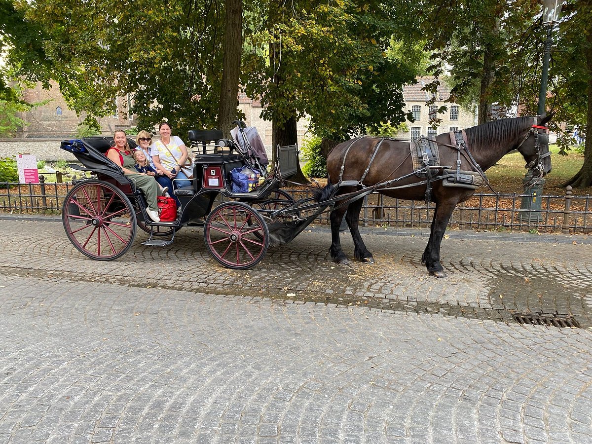 Bruges By Horse-drawn Carriage - All You Need to Know BEFORE You Go