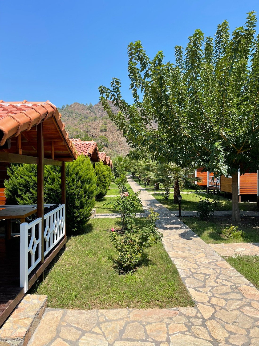 VILLA EFSANE HOTEL (Турция/Чиралы) - отзывы, фото и сравнение цен -  Tripadvisor