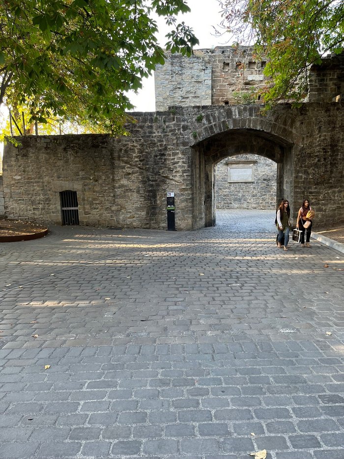 Imagen 7 de Portal de Francia