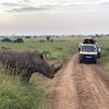 Kenya Tours & Safaris