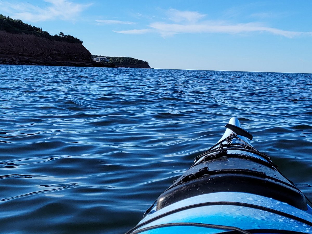 Your Kids are Sure to Love this Adventure - Deep Sea Fishing in North  Rustico! - Cavendish Beach