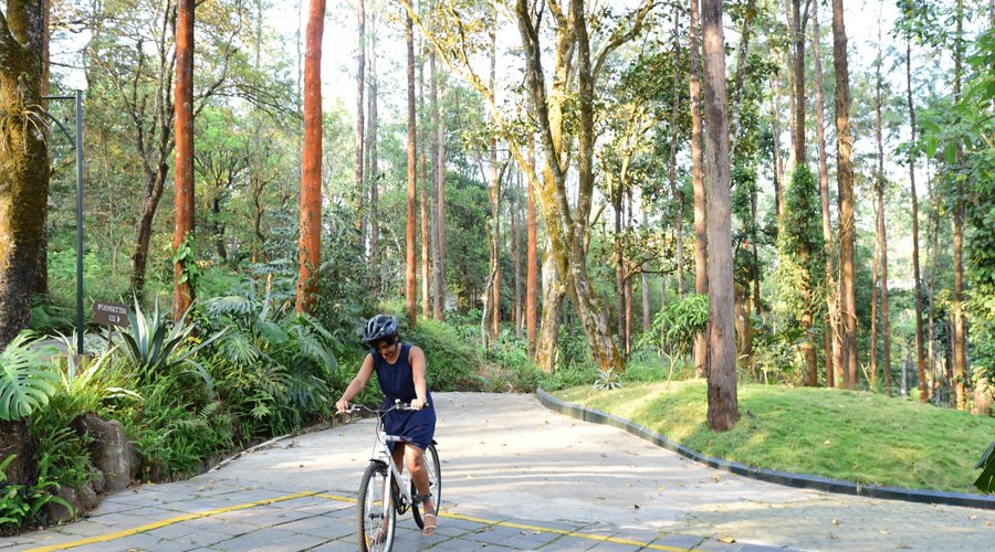 Cycle around the property to enjoy IBNII at your own pace