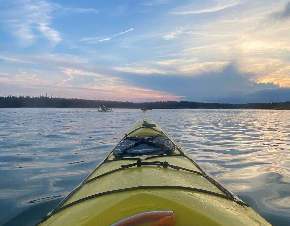 Ospreys Echo Sea Kayaking Stonington All You Need To Know Before You Go 